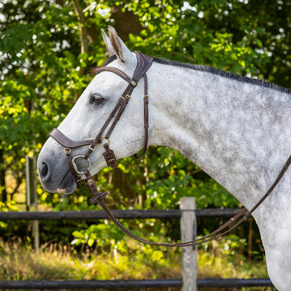 Cabezada inglesa Cabezada inglesa Devi incl. reins QHP para equitación - vista 8