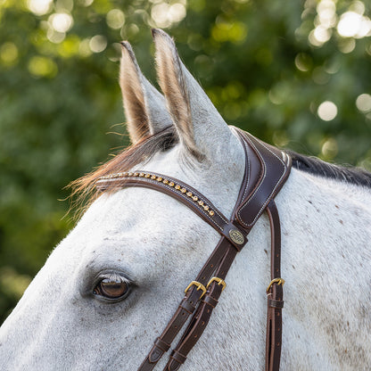Cabezada inglesa Cabezada inglesa Devi incl. reins QHP para equitación - vista 11