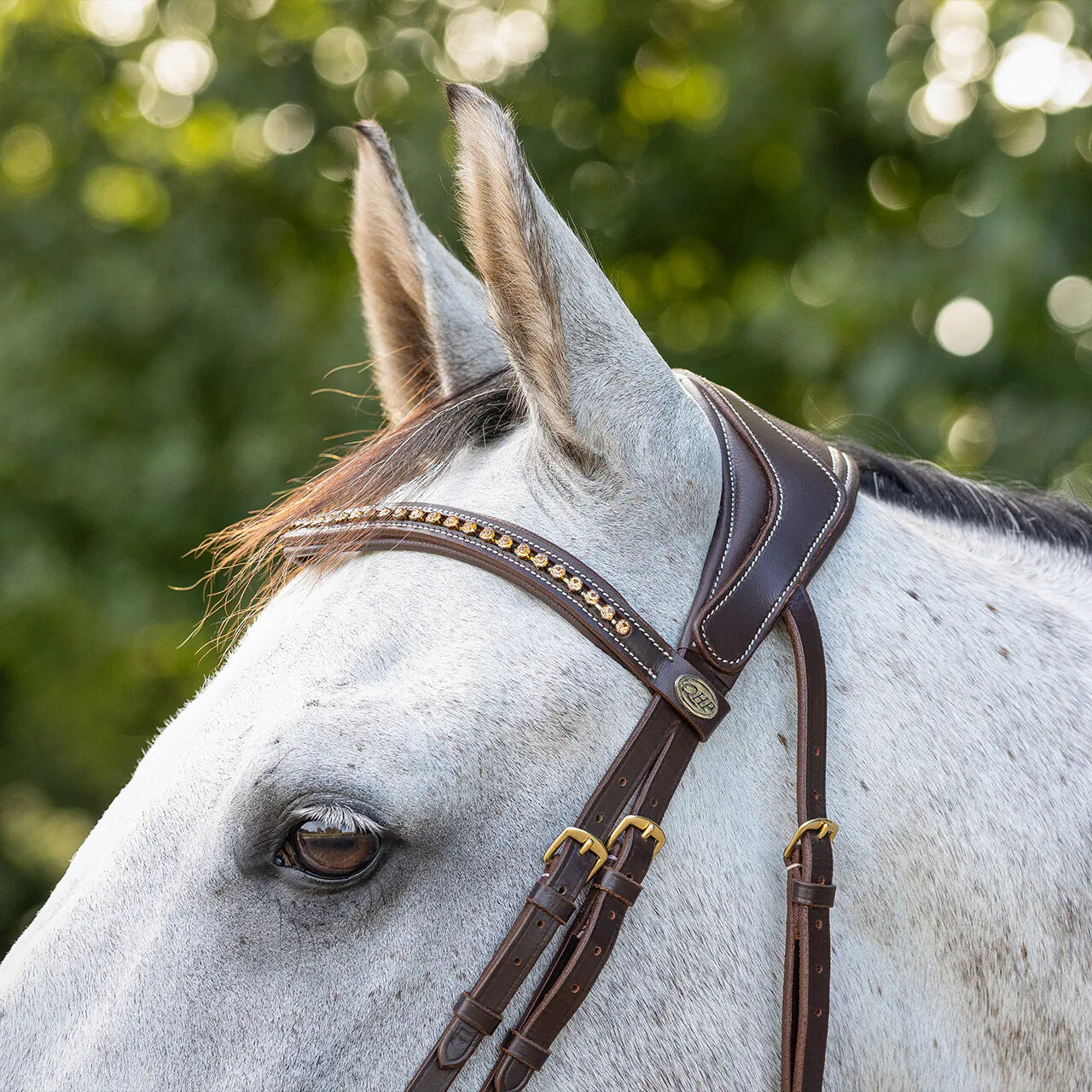 Cabezada inglesa Cabezada inglesa Devi incl. reins QHP para equitación - vista 12