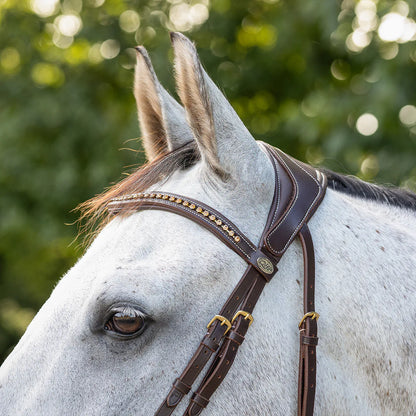 Cabezada inglesa Cabezada inglesa Devi incl. reins QHP para equitación - vista 12