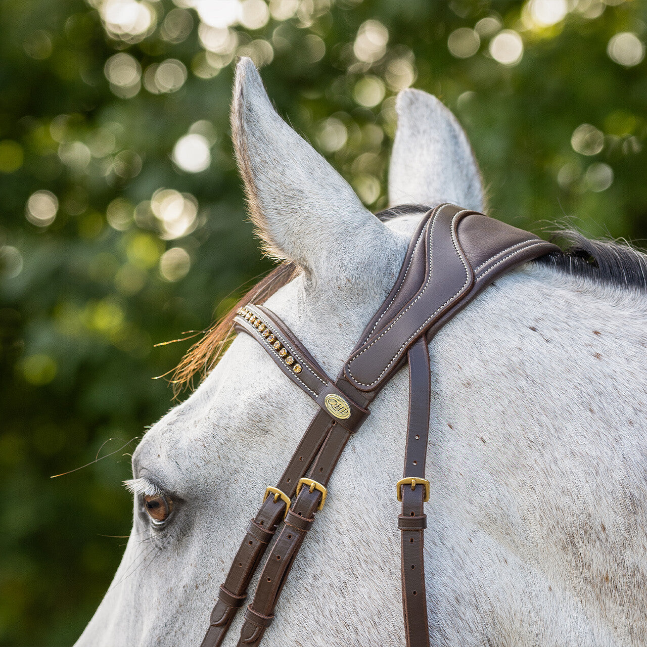 Cabezada inglesa Cabezada inglesa Devi incl. reins QHP para equitación - vista 13