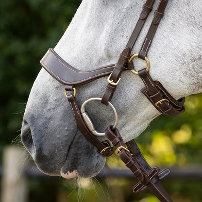 Cabezada inglesa Cabezada inglesa Devi incl. reins QHP para equitación - vista 16