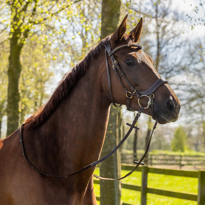 Cabezada inglesa Cabezada inglesa Devi incl. reins QHP para equitación - vista 18