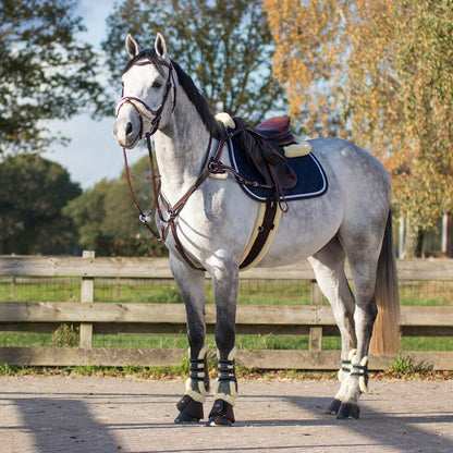 Cabezada inglesa Cabezada inglesa Ontario incl. reins QHP para equitación