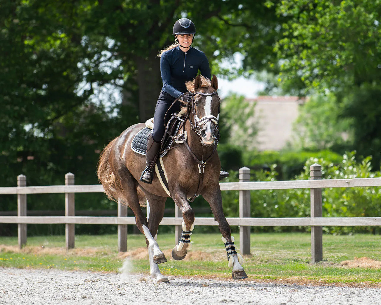 Cabezada inglesa Cabezada inglesa Ontario incl. reins QHP para equitación - vista 10