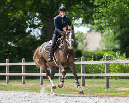 Cabezada inglesa Cabezada inglesa Ontario incl. reins QHP para equitación - vista 10