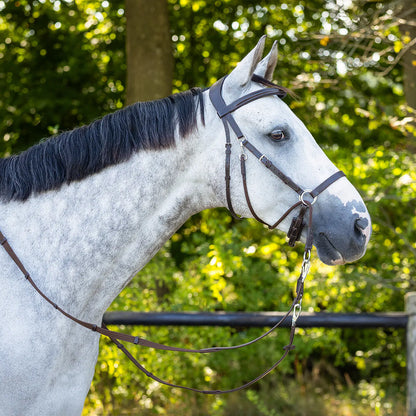 Cabezada inglesa Bitless bridle Ceto incl. reins QHP para equitación - vista 2