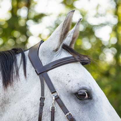 Cabezada inglesa Bitless bridle Ceto incl. reins QHP para equitación - vista 5