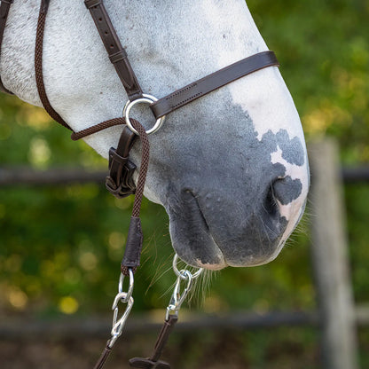 Cabezada inglesa Bitless Cabezada inglesa Ceto incl. reins QHP para equitación - vista 10