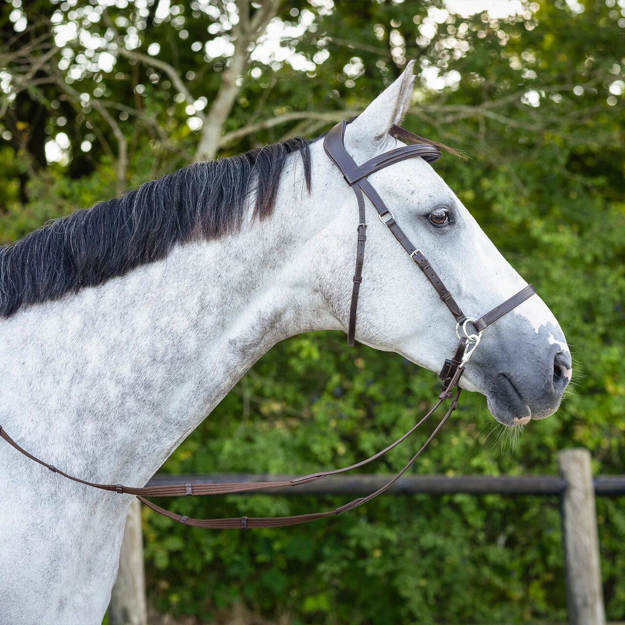 Cabezada inglesa Bitless bridle Ceto incl. reins QHP para equitación - vista 12