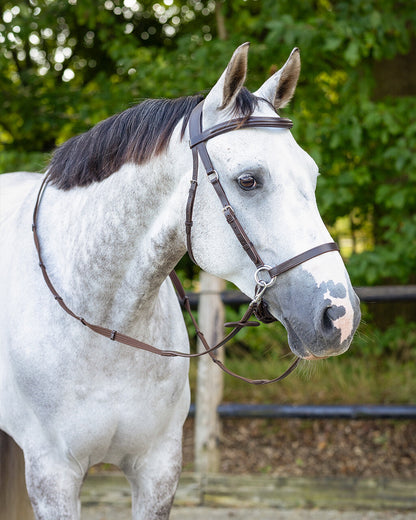 Cabezada inglesa Bitless bridle Ceto incl. reins QHP para equitación - vista 13