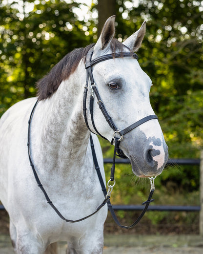 Cabezada inglesa Bitless Cabezada inglesa Ceto incl. reins QHP para equitación - vista 19
