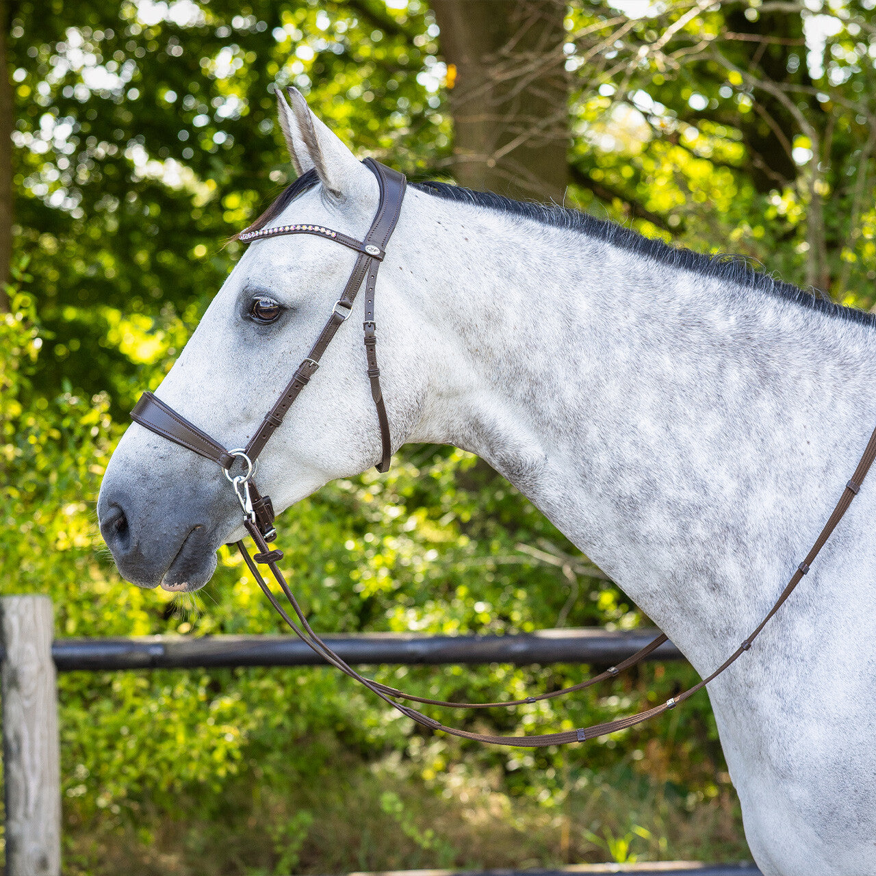Cabezada inglesa Bitless Cabezada inglesa Sunna incl. reins QHP para equitación