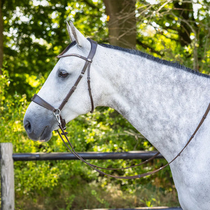Cabezada inglesa Bitless Cabezada inglesa Sunna incl. reins QHP para equitación - vista 2