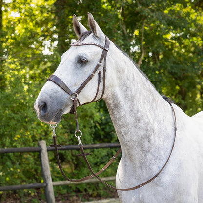 Cabezada inglesa Bitless Cabezada inglesa Sunna incl. reins QHP para equitación - vista 11