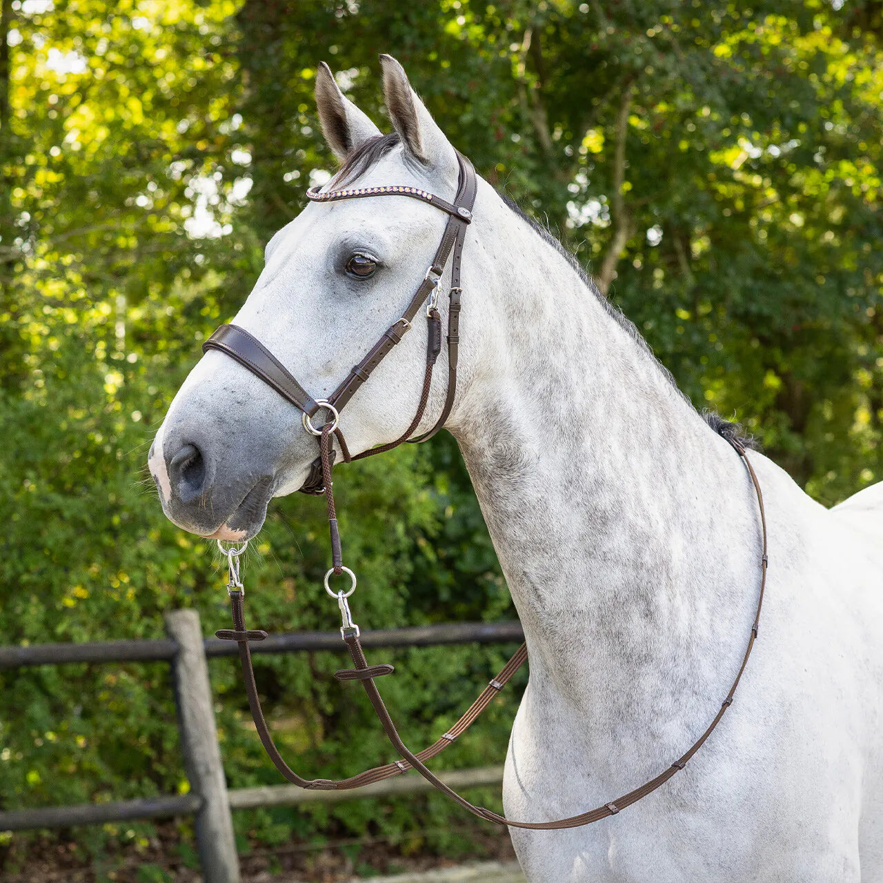 Cabezada inglesa Bitless bridle Sunna incl. reins QHP para equitación - vista 12
