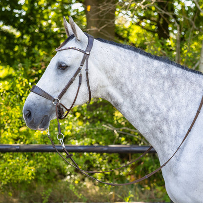 Cabezada inglesa Bitless Cabezada inglesa Sunna incl. reins QHP para equitación - vista 26
