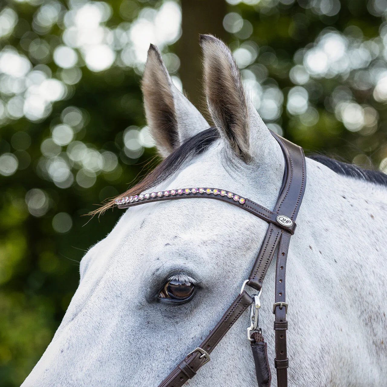 Cabezada inglesa Bitless Cabezada inglesa Sunna incl. reins QHP para equitación - vista 16