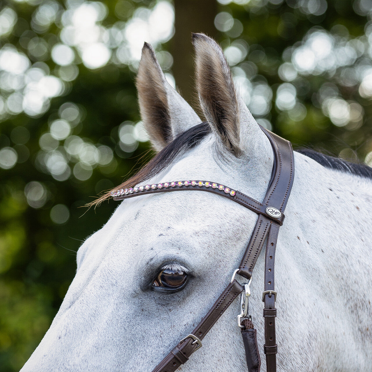 Cabezada inglesa Bitless bridle Sunna incl. reins QHP para equitación - vista 15