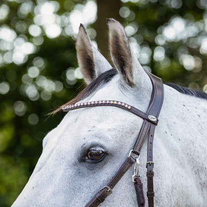 Cabezada inglesa Bitless bridle Sunna incl. reins QHP para equitación - vista 15