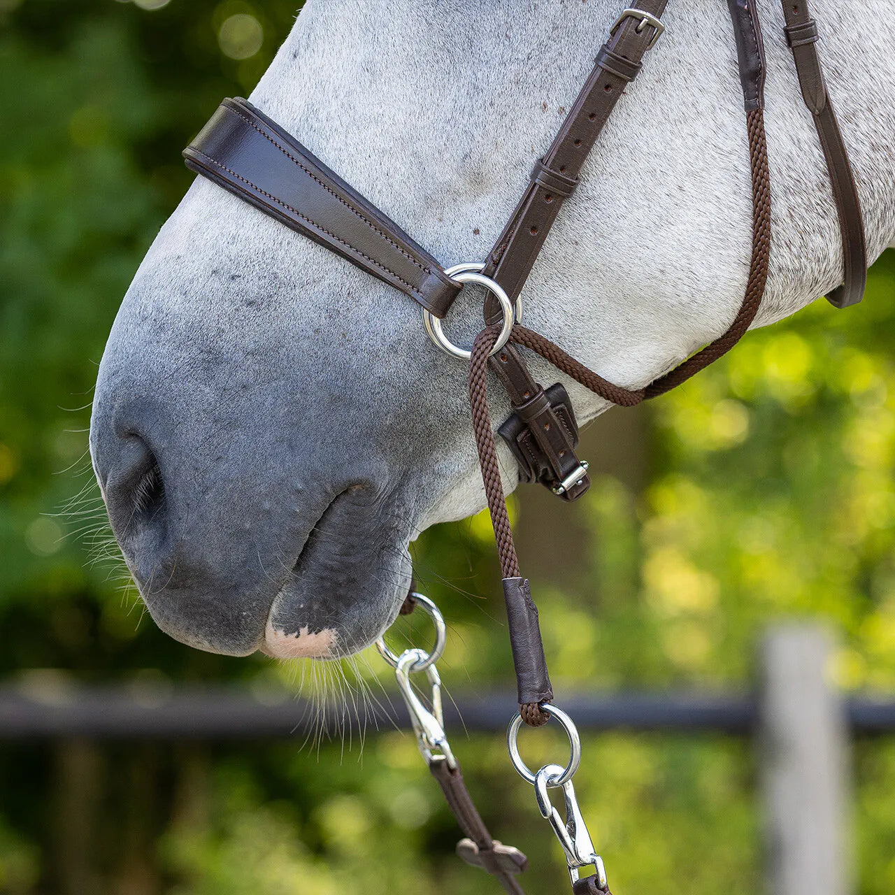 Cabezada inglesa Bitless bridle Sunna incl. reins QHP para equitación - vista 20