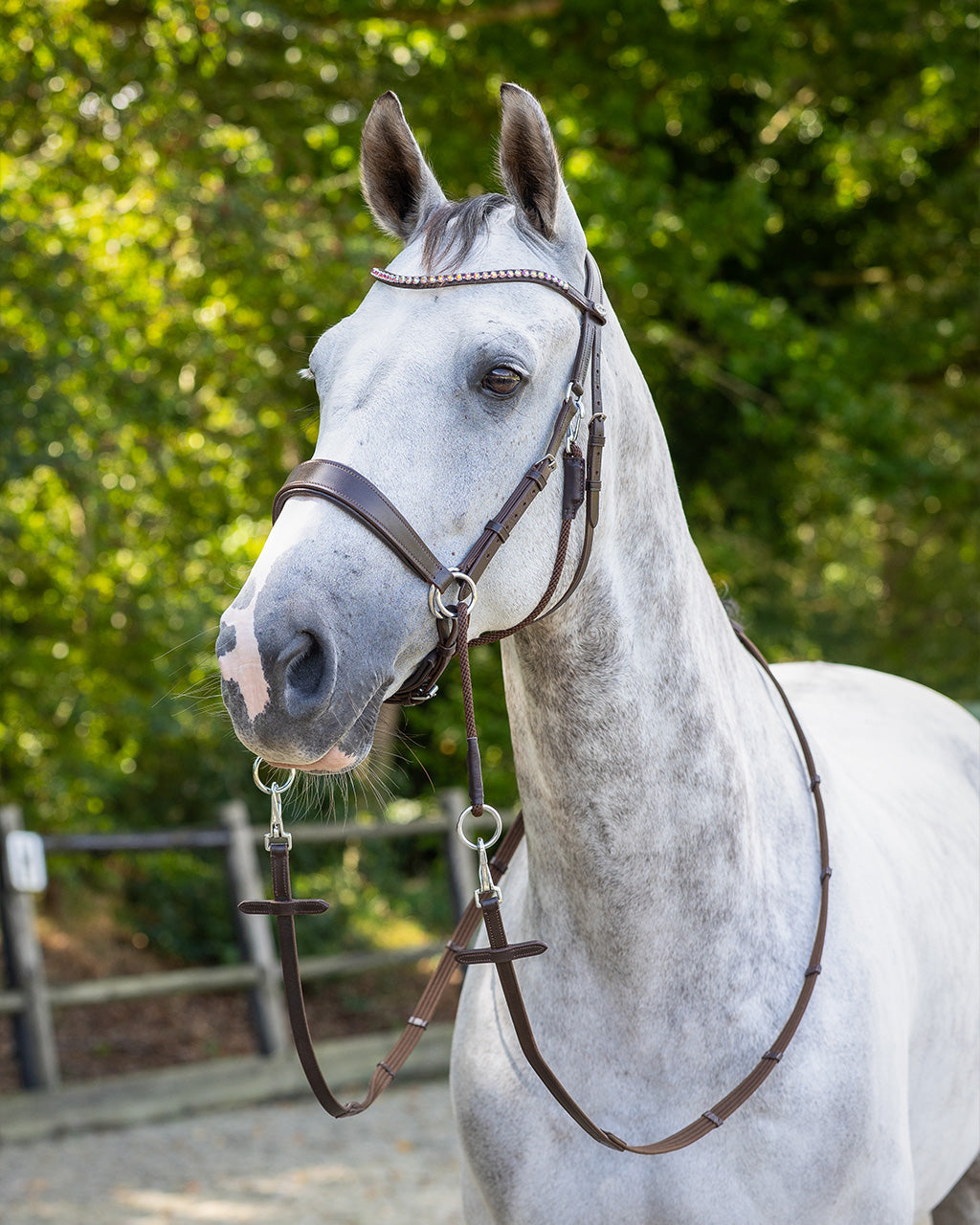Cabezada inglesa Bitless Cabezada inglesa Sunna incl. reins QHP para equitación - vista 40
