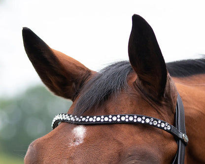 Cabezada inglesa Cabezada inglesa Orlando incl. reins QHP para equitación - vista 4