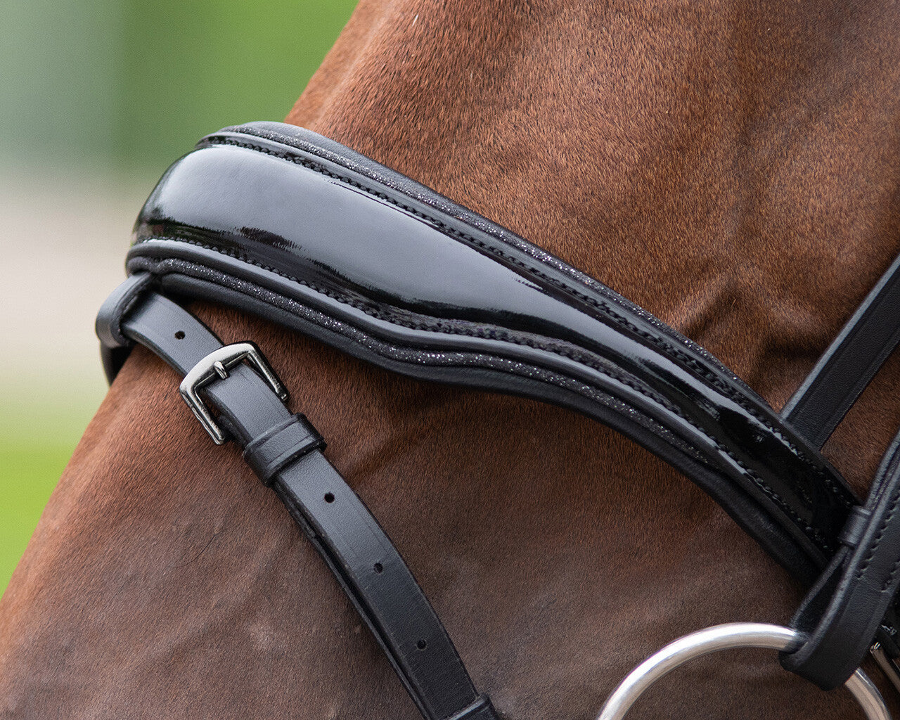 Cabezada inglesa Cabezada inglesa Orlando incl. reins QHP para equitación - vista 5