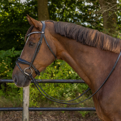 Cabezada inglesa Cabezada inglesa Orlando incl. reins QHP para equitación - vista 34