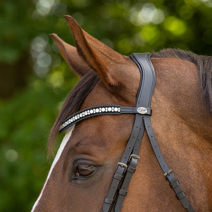 Cabezada inglesa Cabezada inglesa Orlando incl. reins QHP para equitación - vista 36