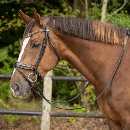 Cabezada inglesa Cabezada inglesa Orlando incl. reins QHP para equitación - vista 40