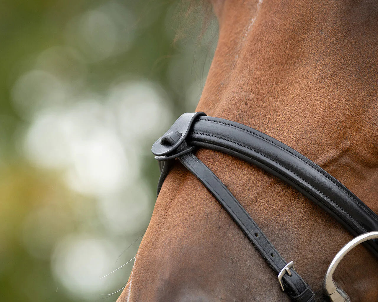 Cabezadas Flash muserola loop QHP para equitación - vista 4