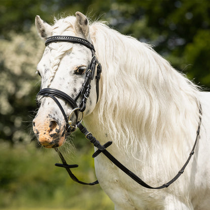 Cabezada inglesa Bridle Beli incl. reins QHP para equitación - vista 5