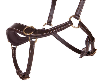 Cabezada inglesa Bitless Cabezada inglesa Anatomical incl. reins QHP para equitación - vista 5