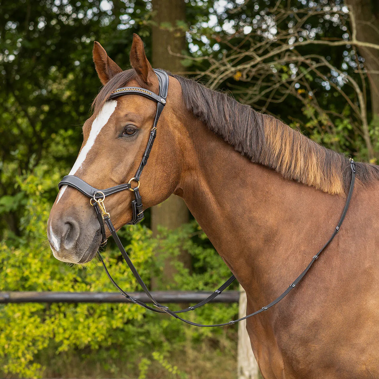 Cabezada inglesa Bitless Cabezada inglesa Anatomical incl. reins QHP para equitación - vista 12