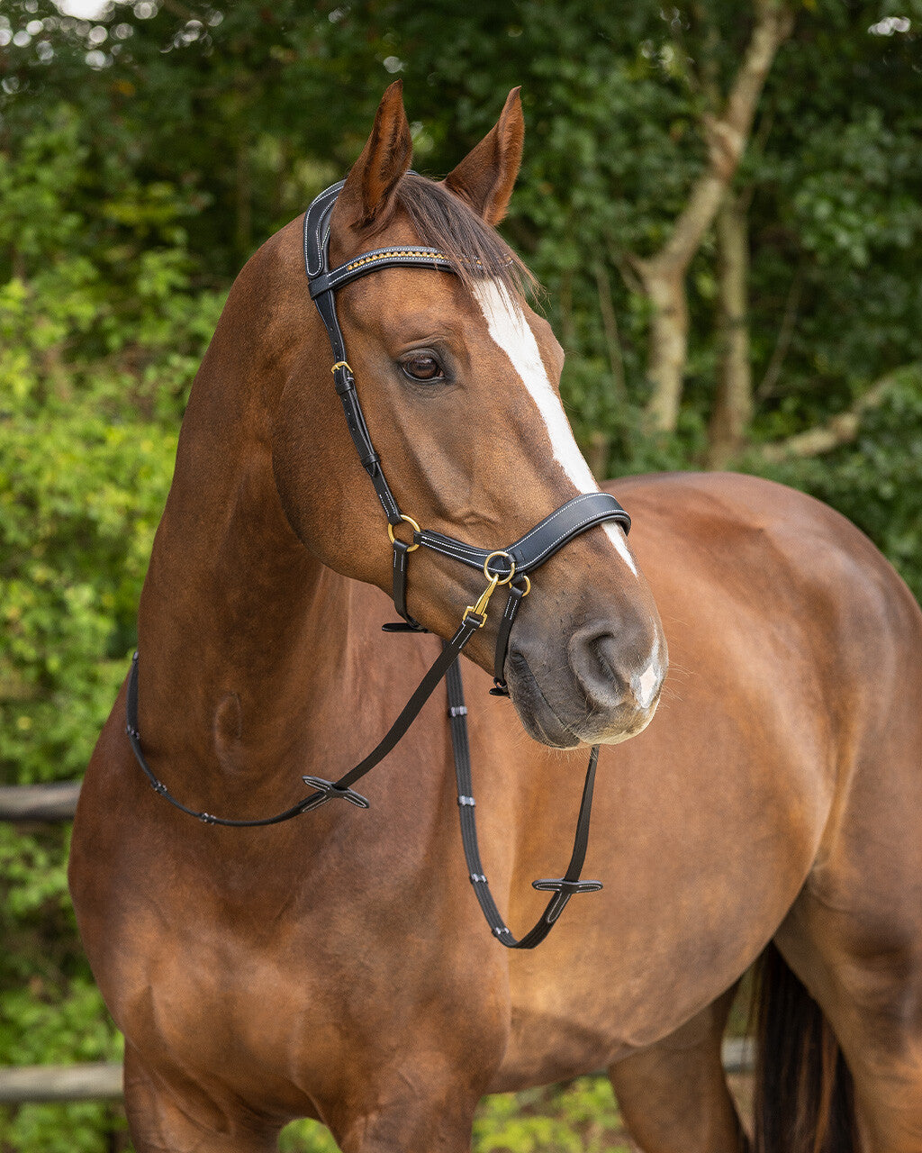 Cabezada inglesa Bitless bridle Anatomical incl. reins QHP para equitación - vista 13