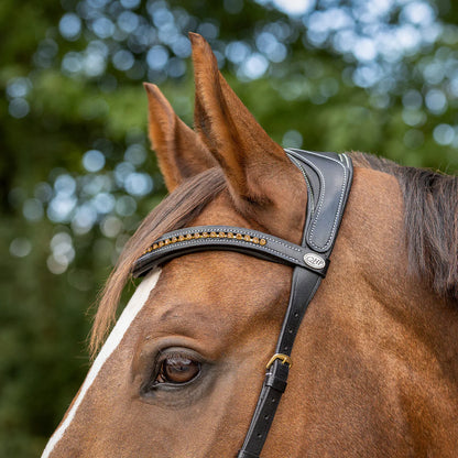 Cabezada inglesa Bitless Cabezada inglesa Anatomical incl. reins QHP para equitación - vista 16