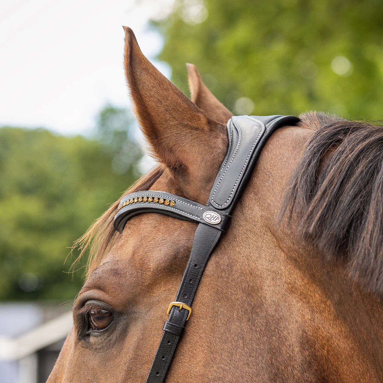 Cabezada inglesa Bitless bridle Anatomical incl. reins QHP para equitación - vista 18