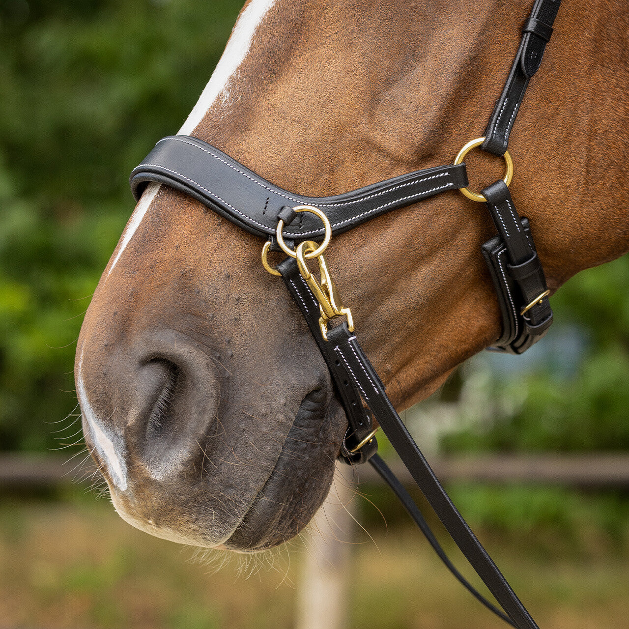Cabezada inglesa Bitless bridle Anatomical incl. reins QHP para equitación - vista 19