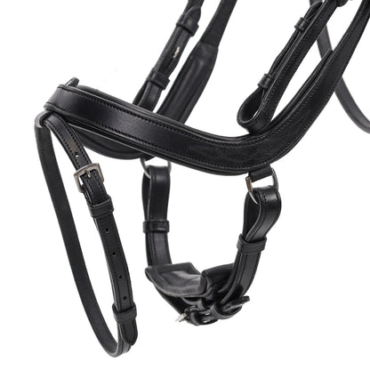 Cabezada inglesa Cabezada inglesa Salerno incl. reins QHP para equitación - vista 15