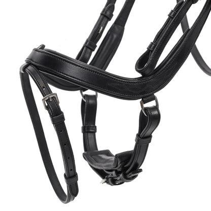 Cabezada inglesa Cabezada inglesa Salerno incl. reins QHP para equitación - vista 16