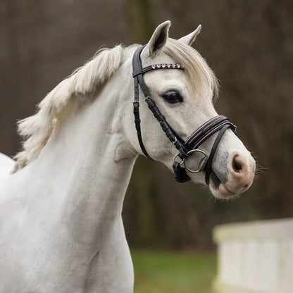Cabezada inglesa Cabezada inglesa Bixie incl. reins QHP para equitación - vista 8