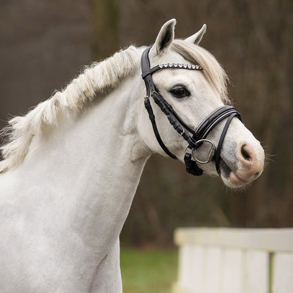 Cabezada inglesa Cabezada inglesa Bixie incl. reins QHP para equitación - vista 19