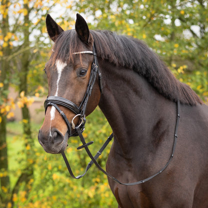 Cabezada inglesa Cabezada inglesa Sunset incl. reins QHP para equitación - vista 30