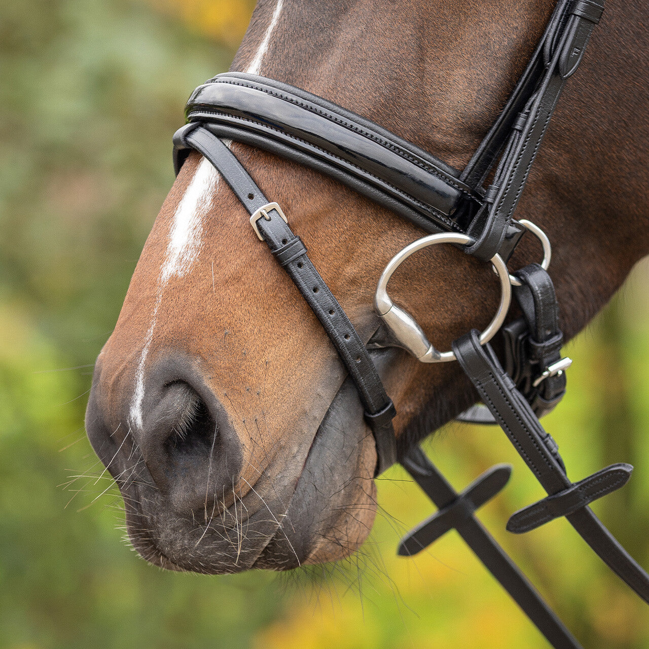 Cabezada inglesa Cabezada inglesa Sunset incl. reins QHP para equitación - vista 32