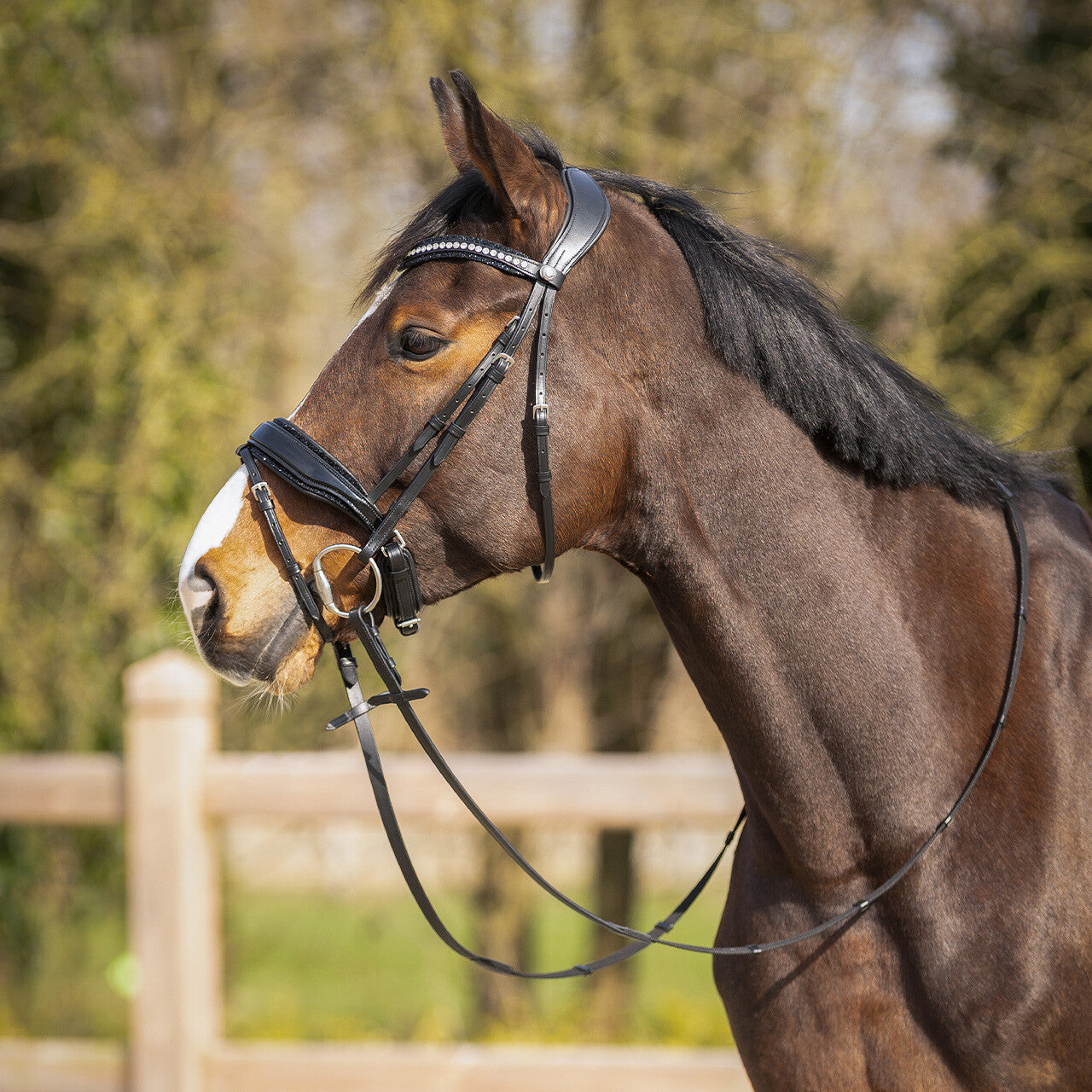 Cabezada inglesa Cabezada inglesa Skye incl. reins QHP para equitación - vista 11