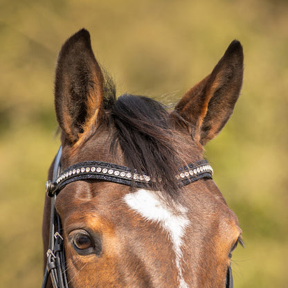 Cabezada inglesa Cabezada inglesa Skye incl. reins QHP para equitación - vista 36