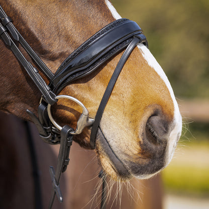 Cabezada inglesa Cabezada inglesa Skye incl. reins QHP para equitación - vista 37