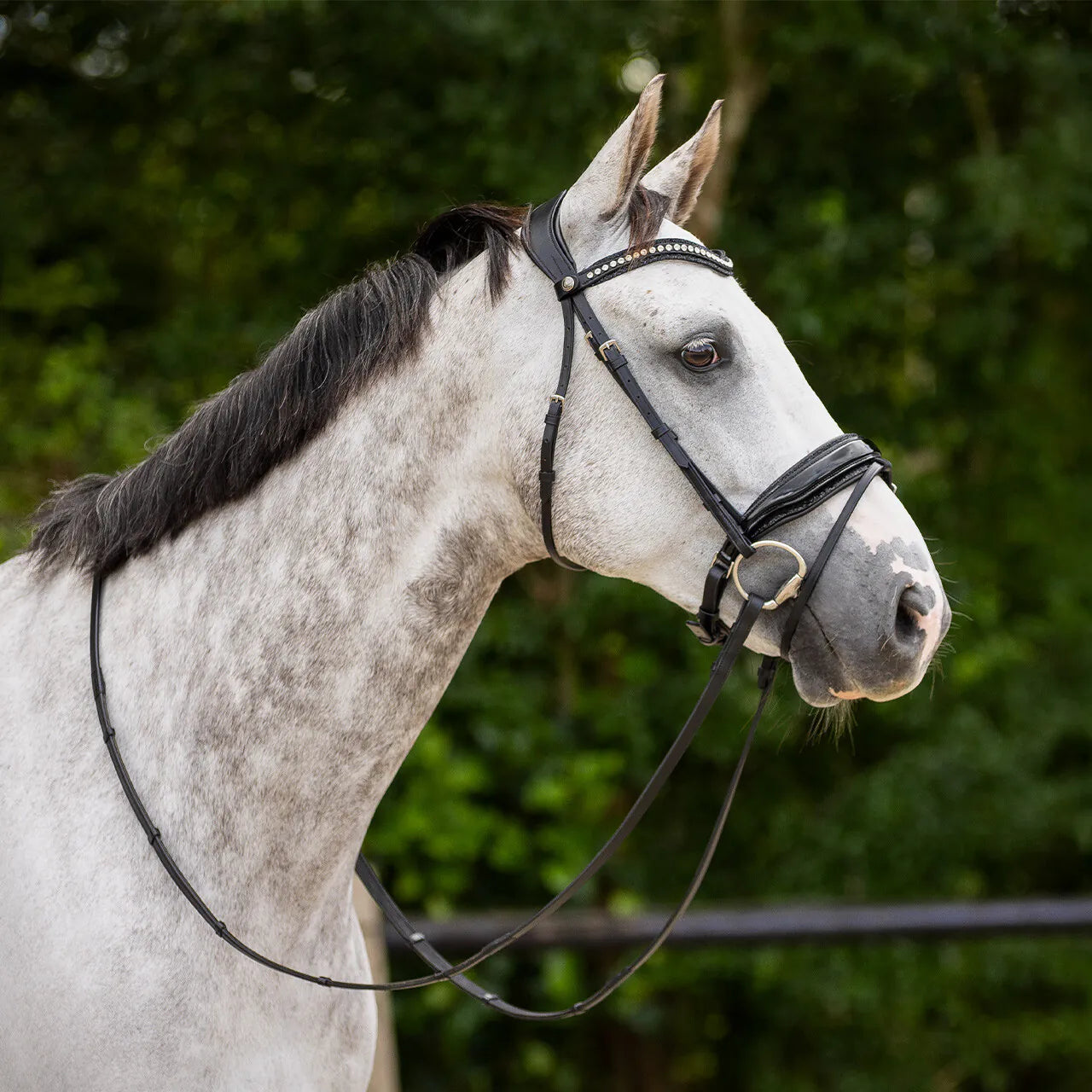 Cabezada inglesa Cabezada inglesa Skye incl. reins QHP para equitación - vista 20