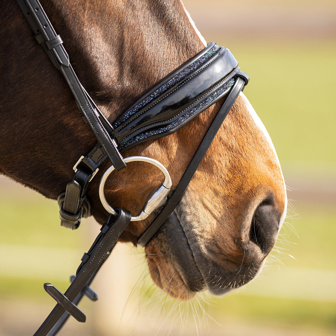 Cabezadas Exchangeable acolchado Skye QHP para equitación - vista 28